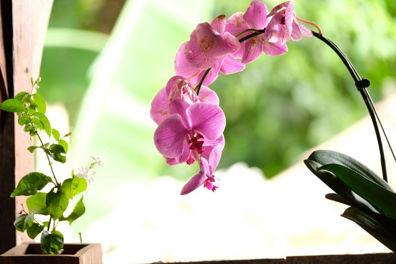 Bumbung Sari Villa Ubud Dış mekan fotoğraf