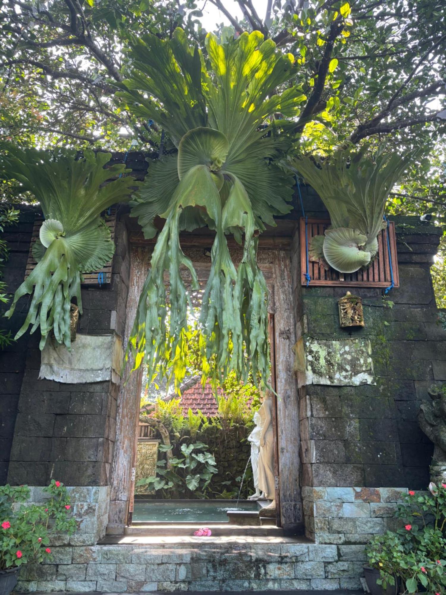 Bumbung Sari Villa Ubud Dış mekan fotoğraf