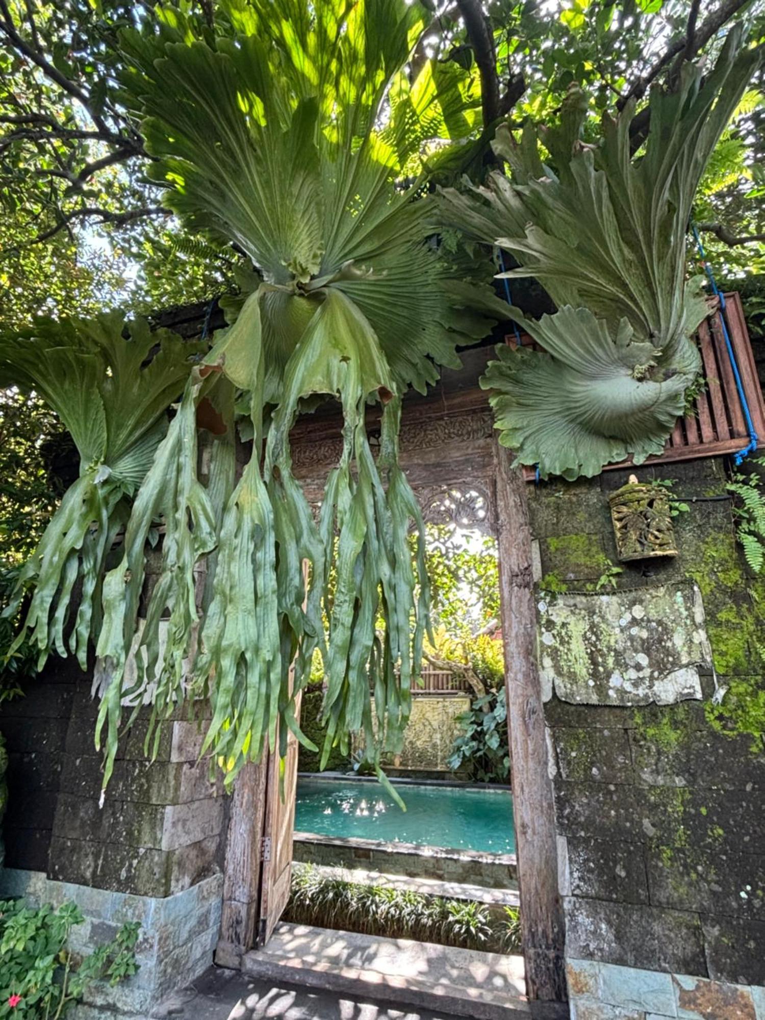 Bumbung Sari Villa Ubud Dış mekan fotoğraf
